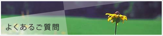 よくあるご質問